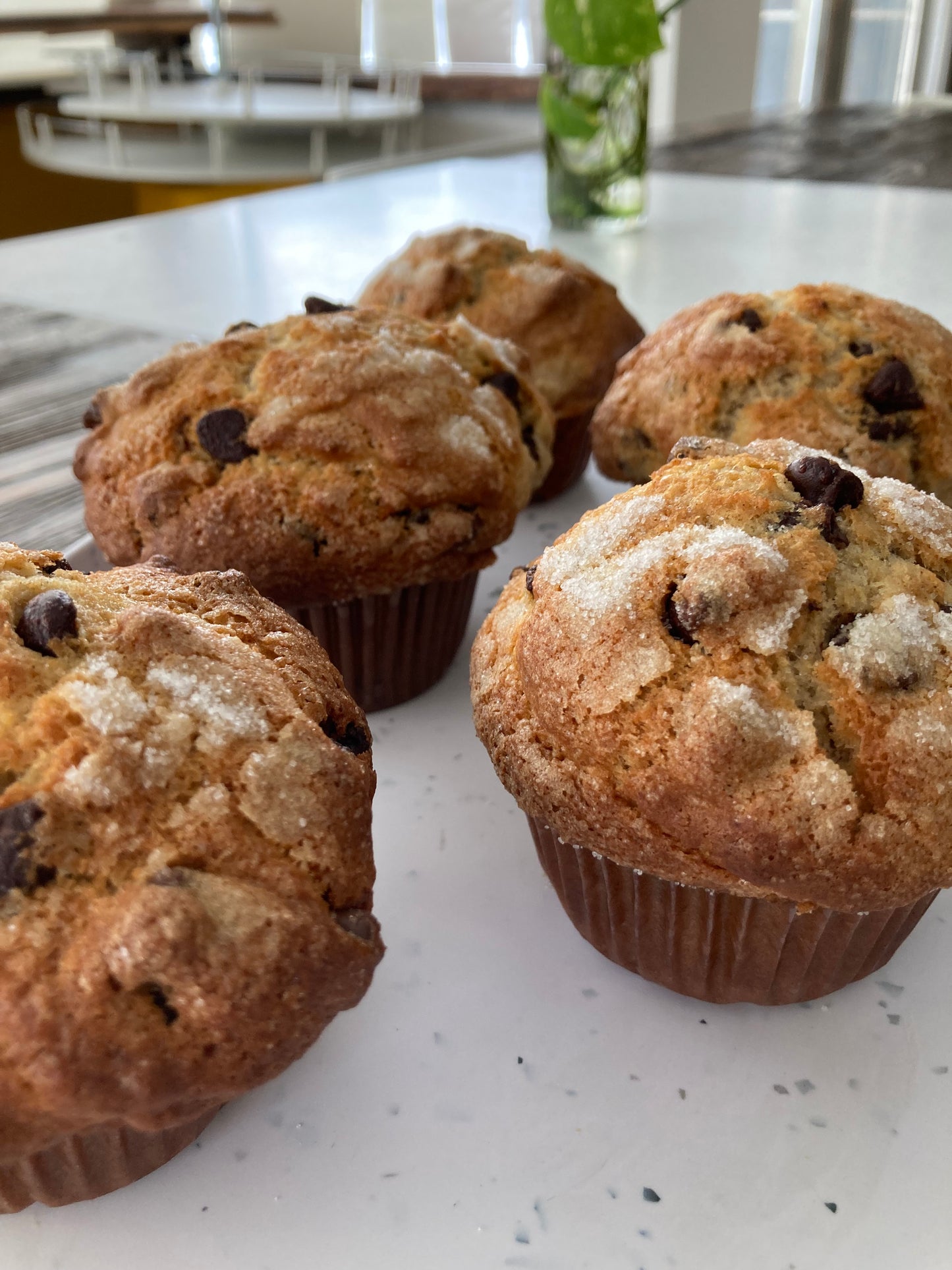 Chocolate Chip Muffins (Box of 6)